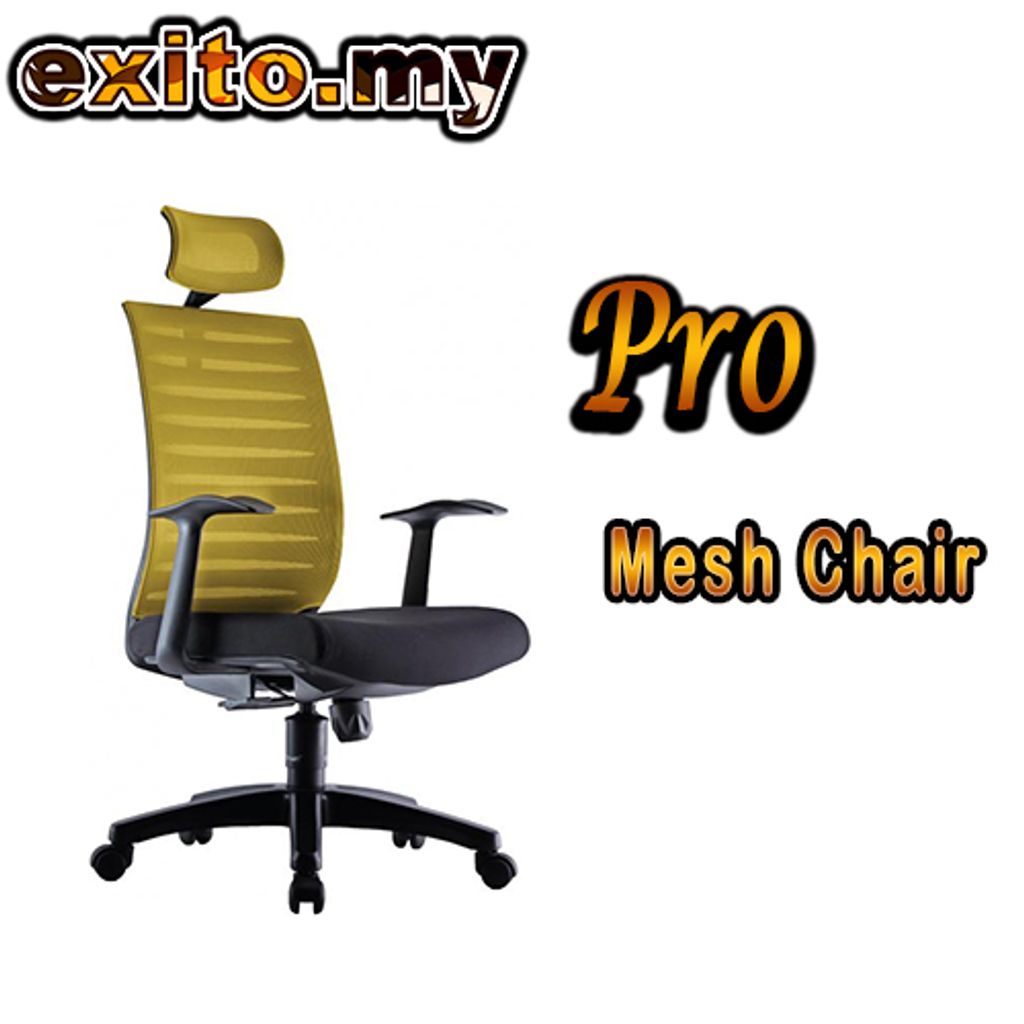 Pro Mesh Chair Model