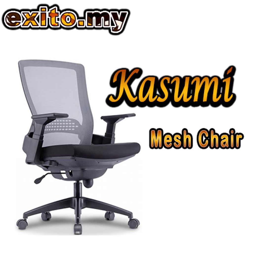 Kasumi Mesh Chair Model