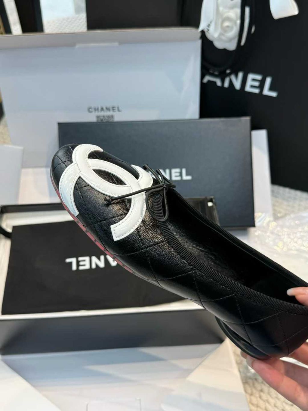 圖片_20260315105919