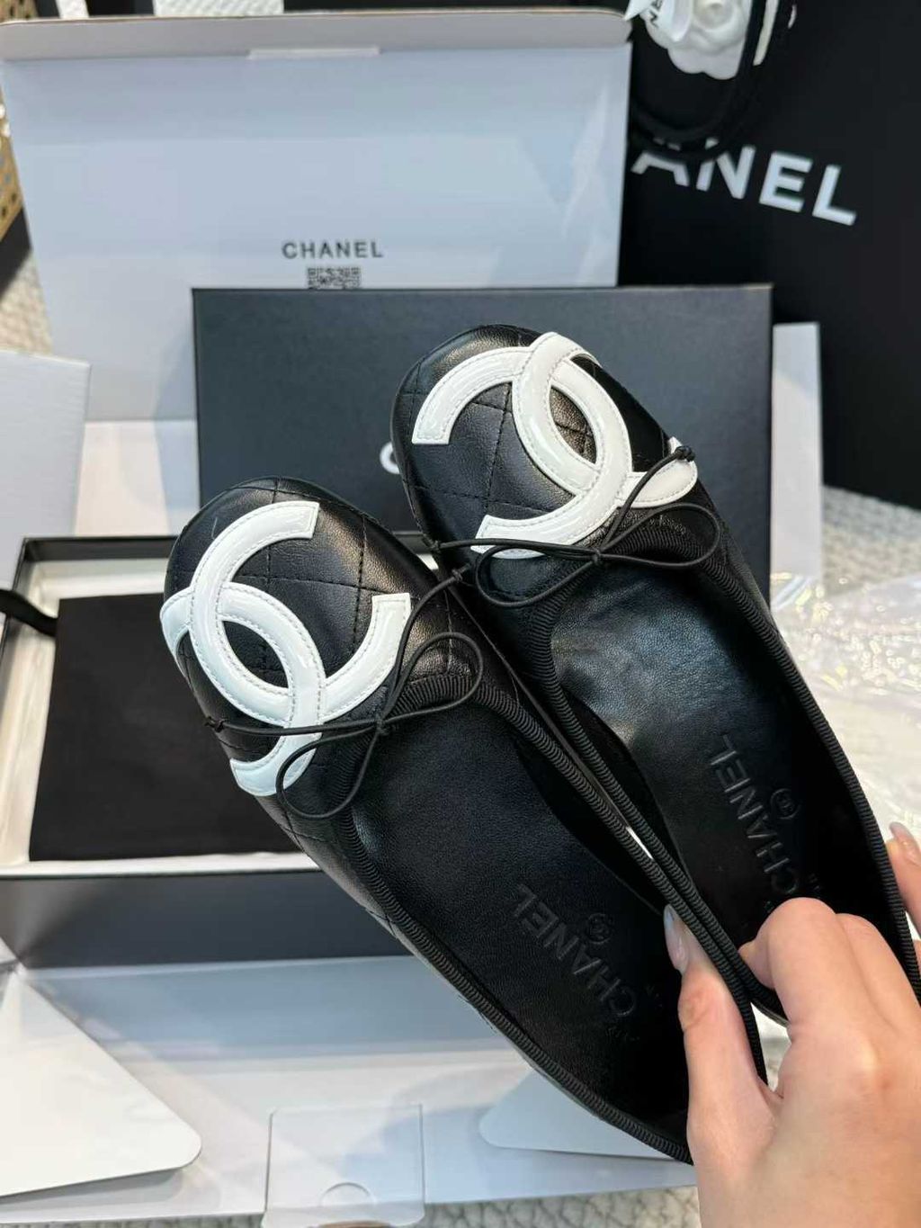 圖片_20260315105917