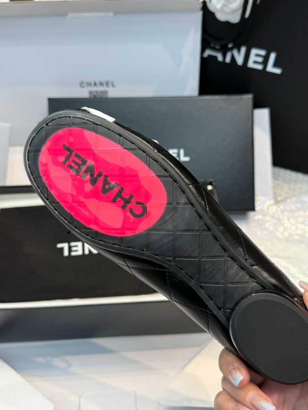 圖片_20260315105921