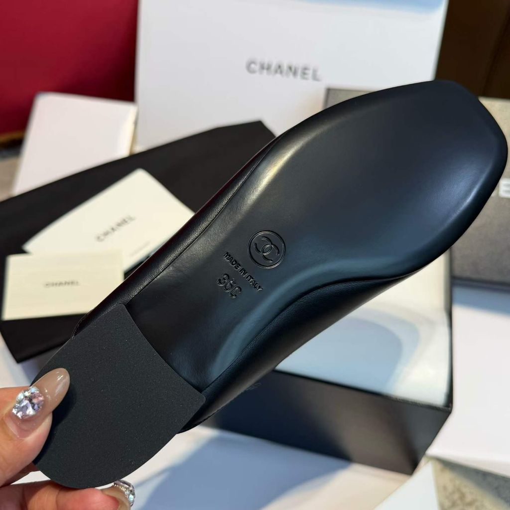 圖片_20260324112853