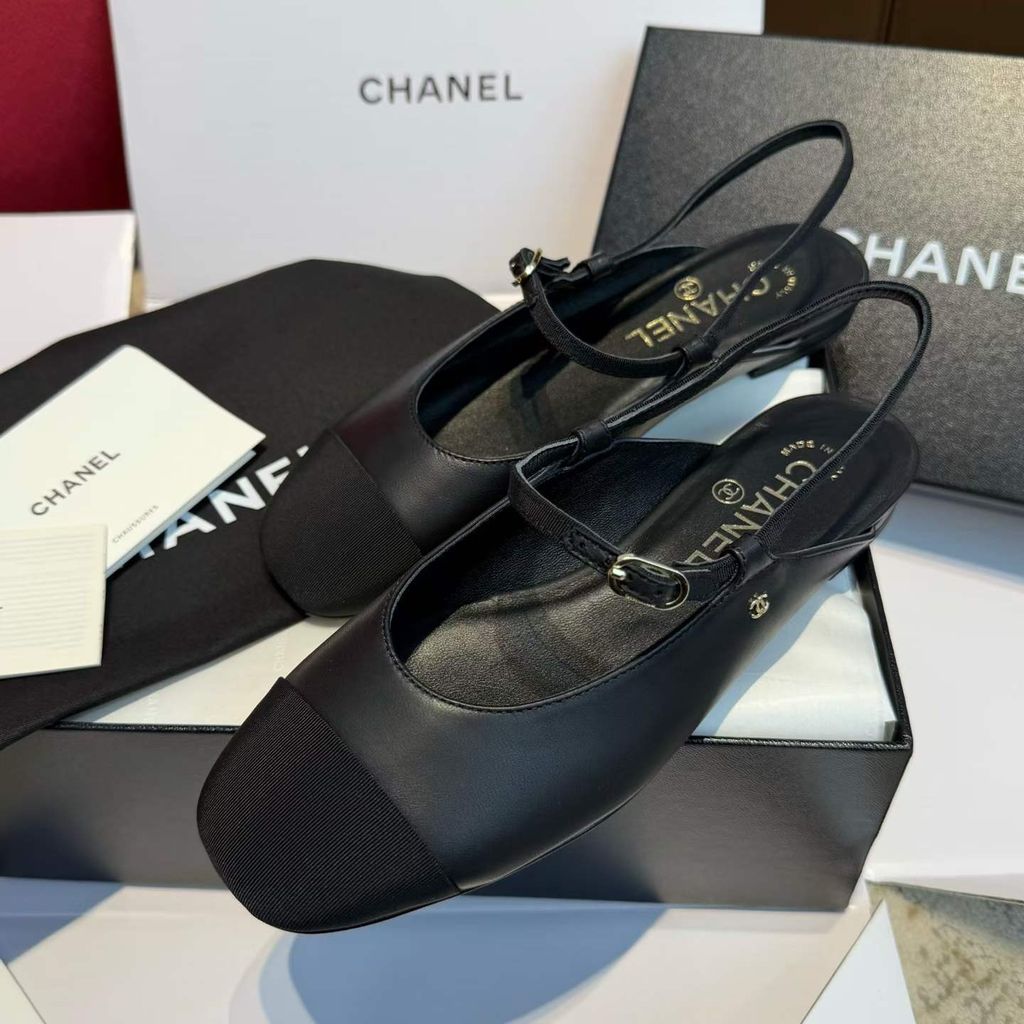 圖片_202603241128431