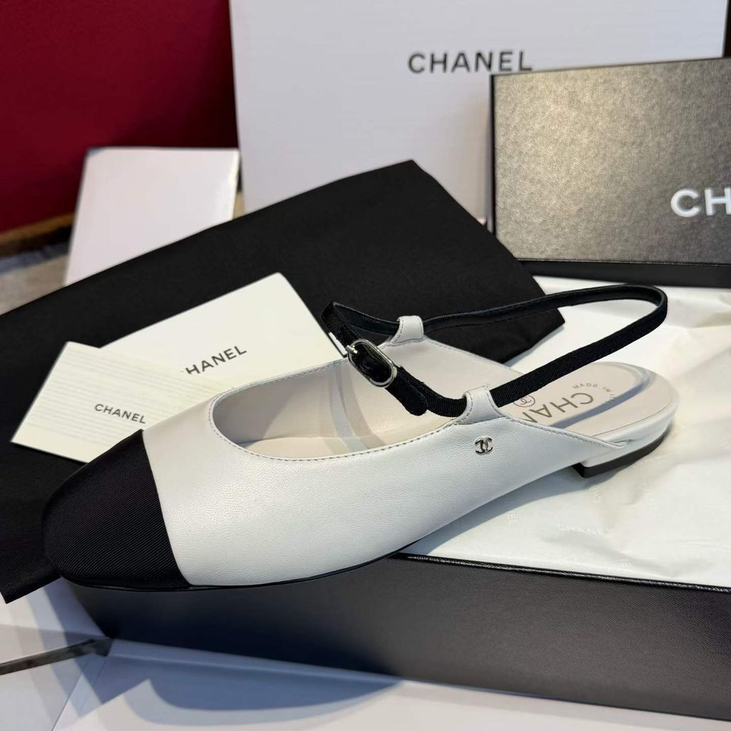 圖片_20260324112901