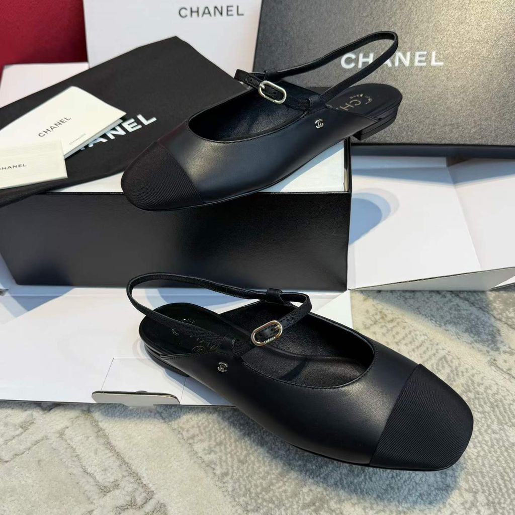 圖片_20260324112850