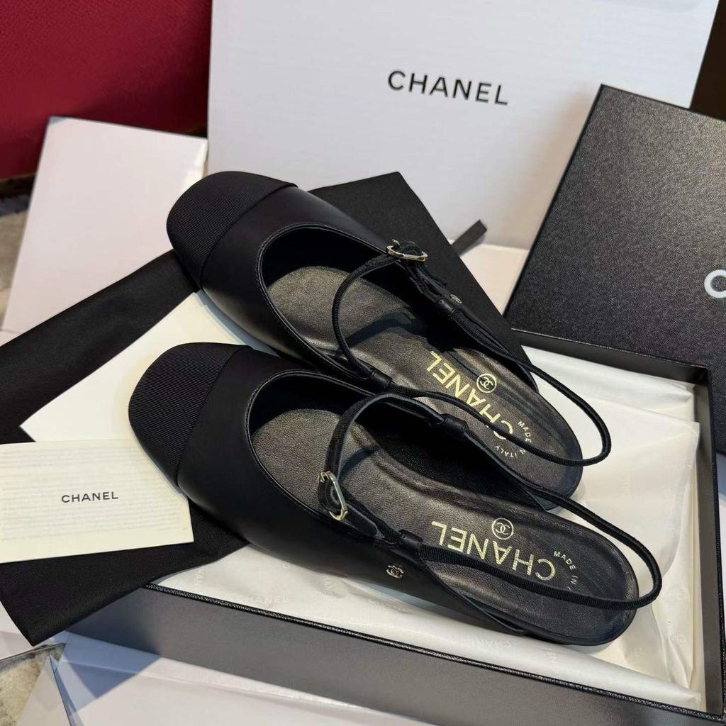 圖片_20260324112848