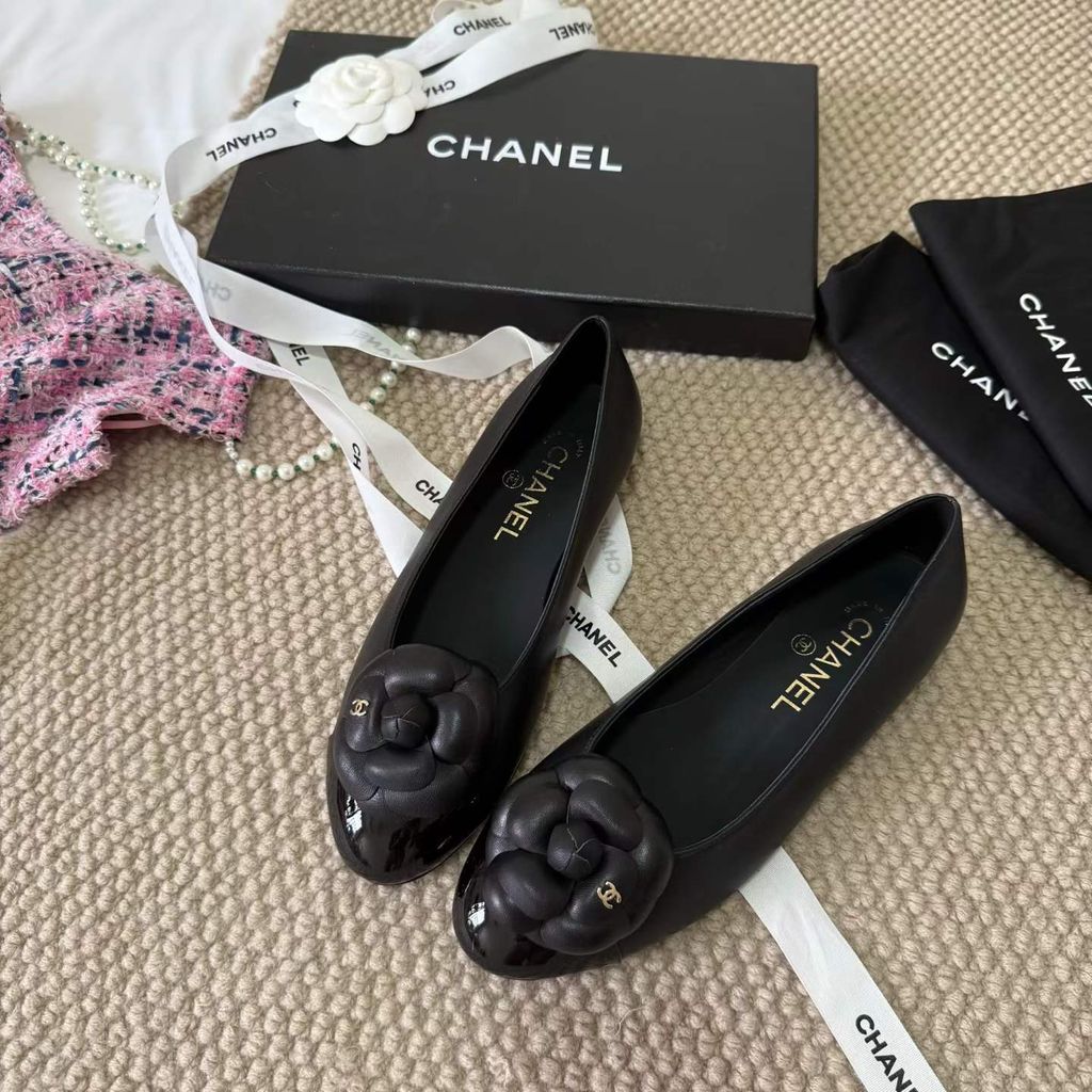 圖片_20260404144949