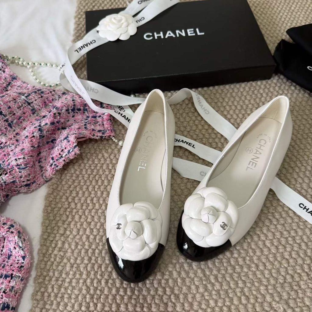 圖片_20260404145030