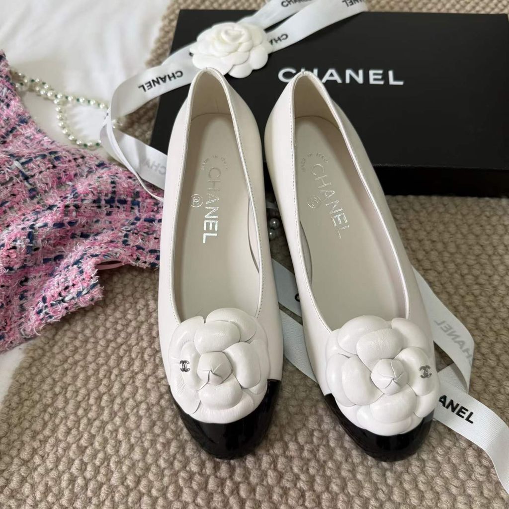 圖片_20260404145033