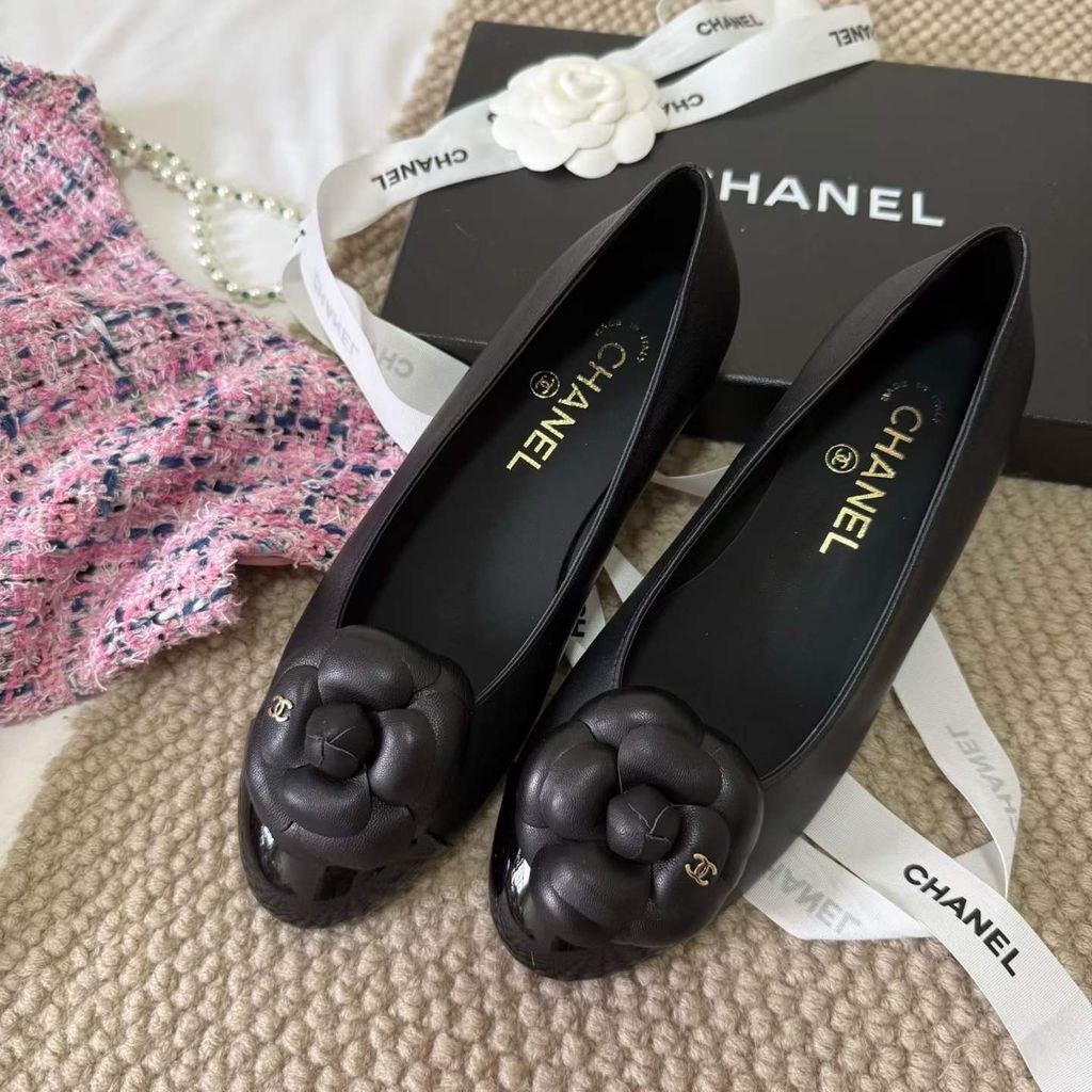 圖片_20260404144954