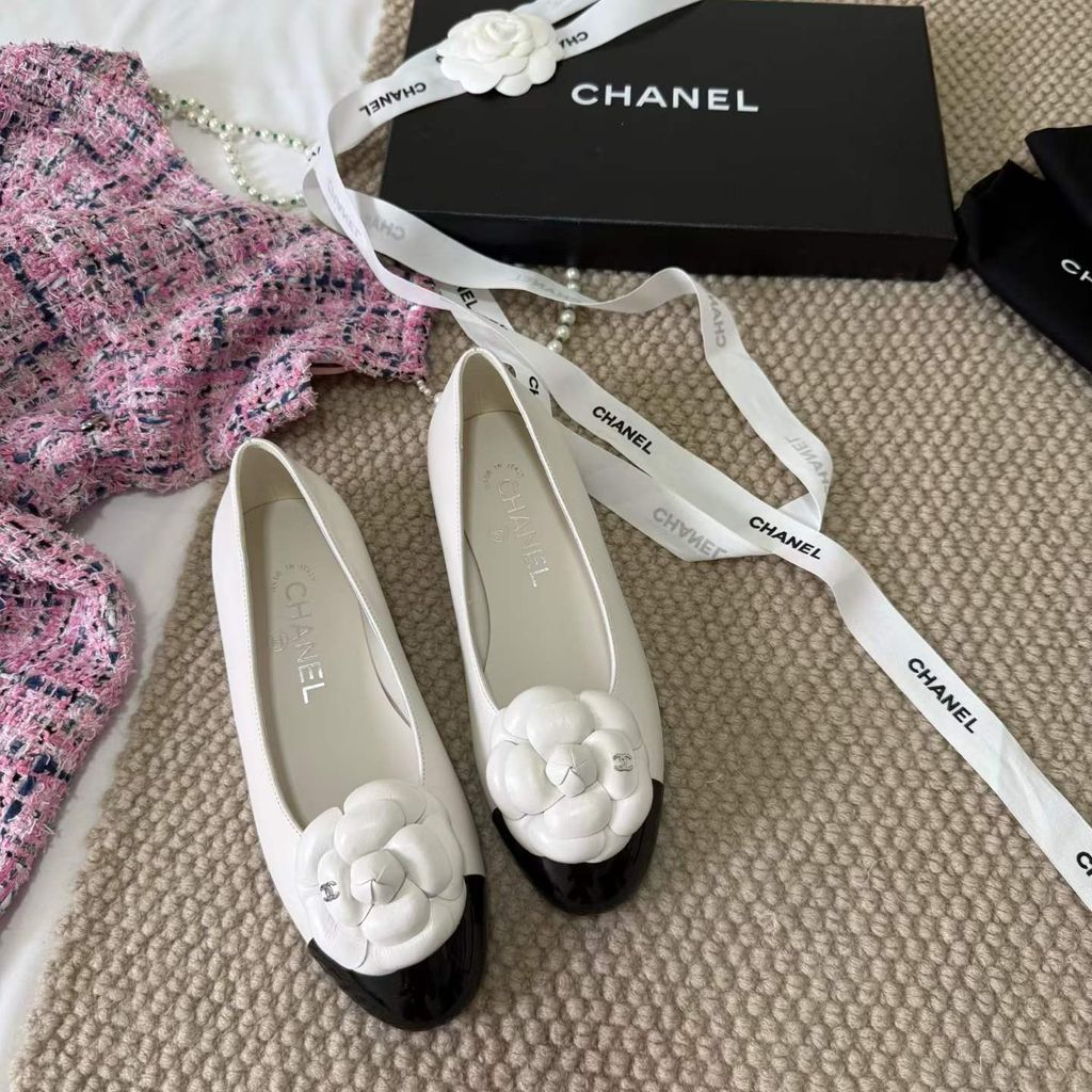 圖片_20260404145028