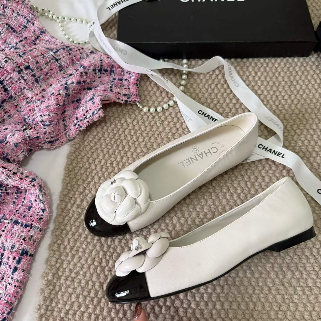 圖片_20260404145031