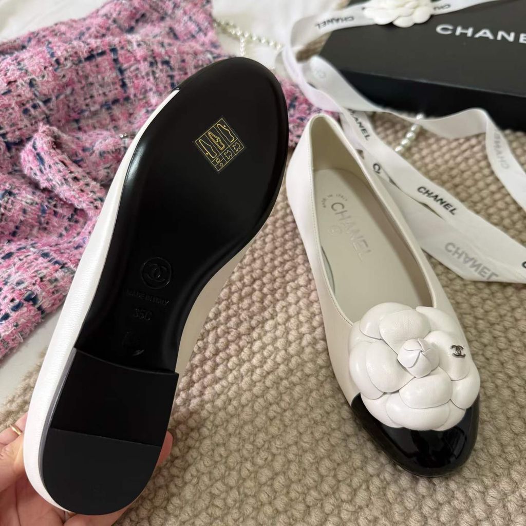 圖片_20260404145043