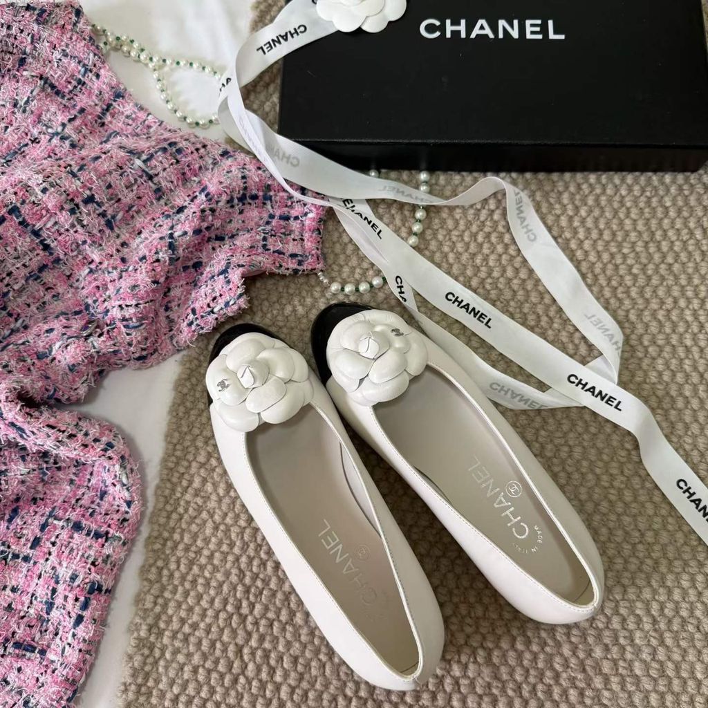 圖片_20260404145035