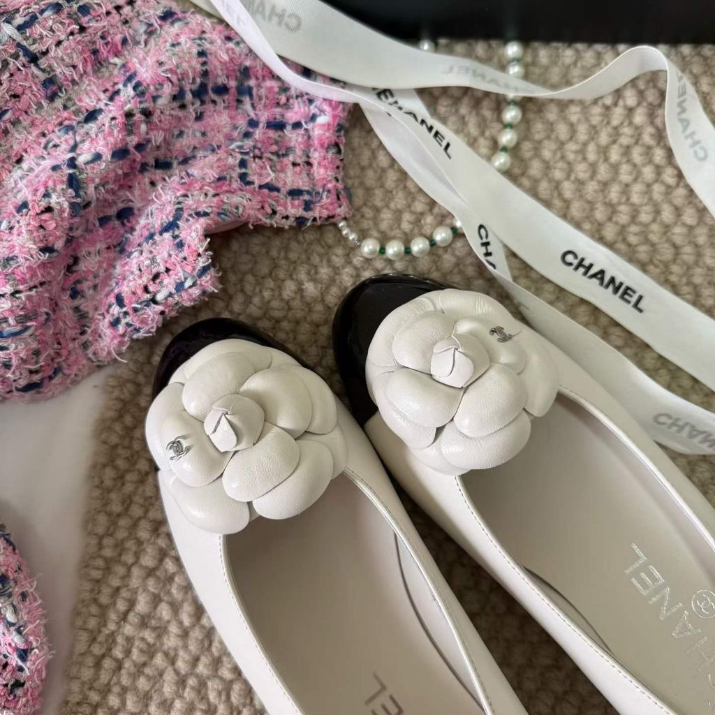 圖片_20260404145034