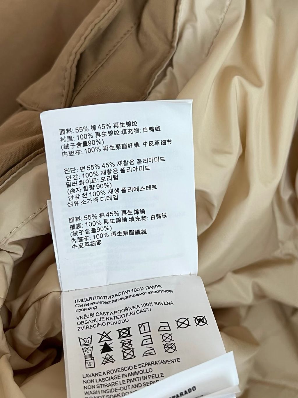 圖片_20261019120047