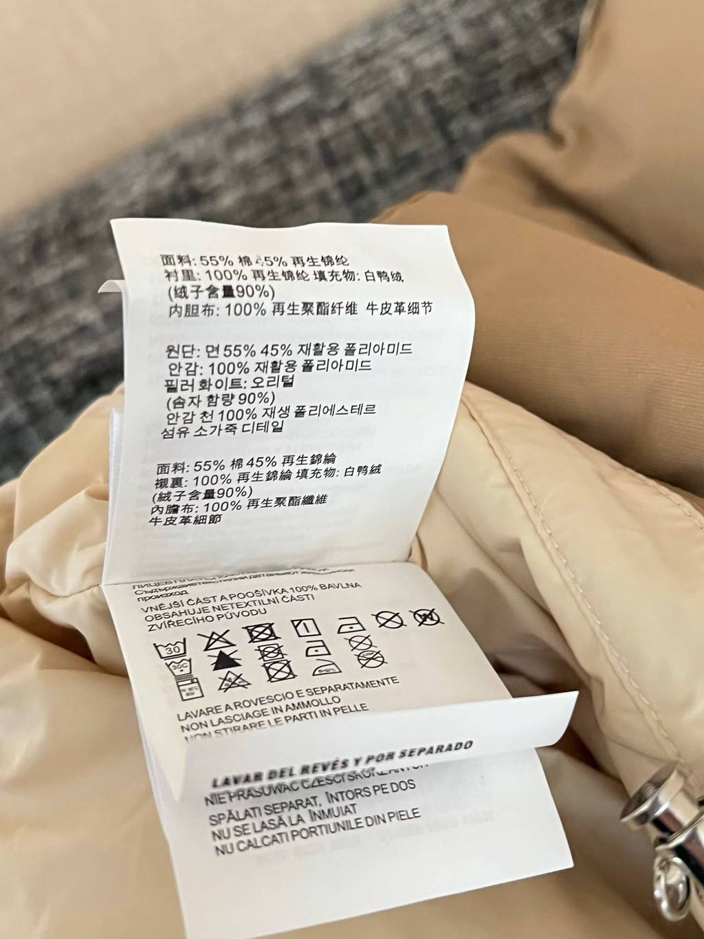 圖片_20261019120945