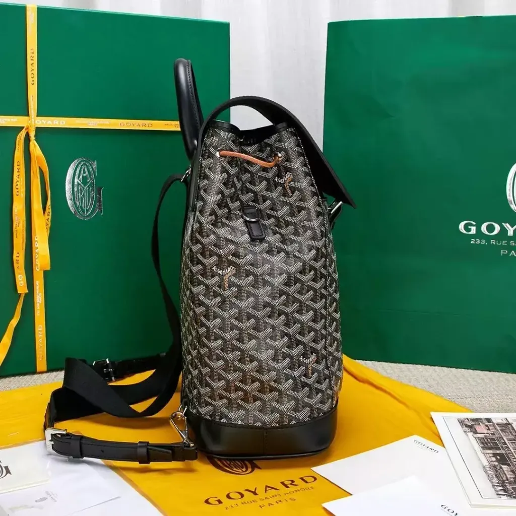 GOYARD ALPIN MM 後背包12345