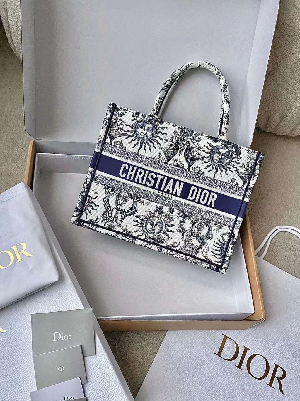 DIOR BOOK TOTE 太陽神茹伊輕便袋 藍白色 中號 