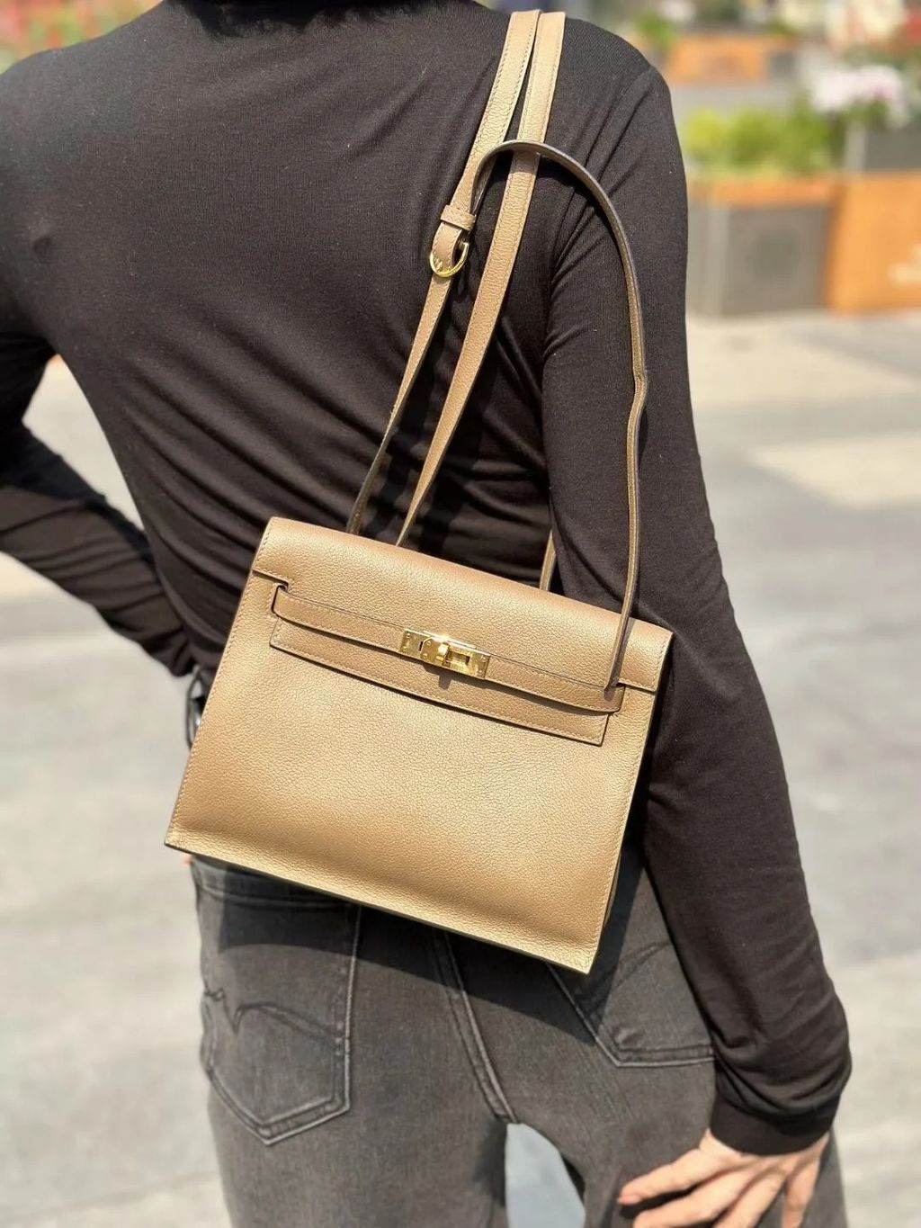 D0葳玛犬灰色 Kelly danse_1_幸喜ER_来自小红书网页版