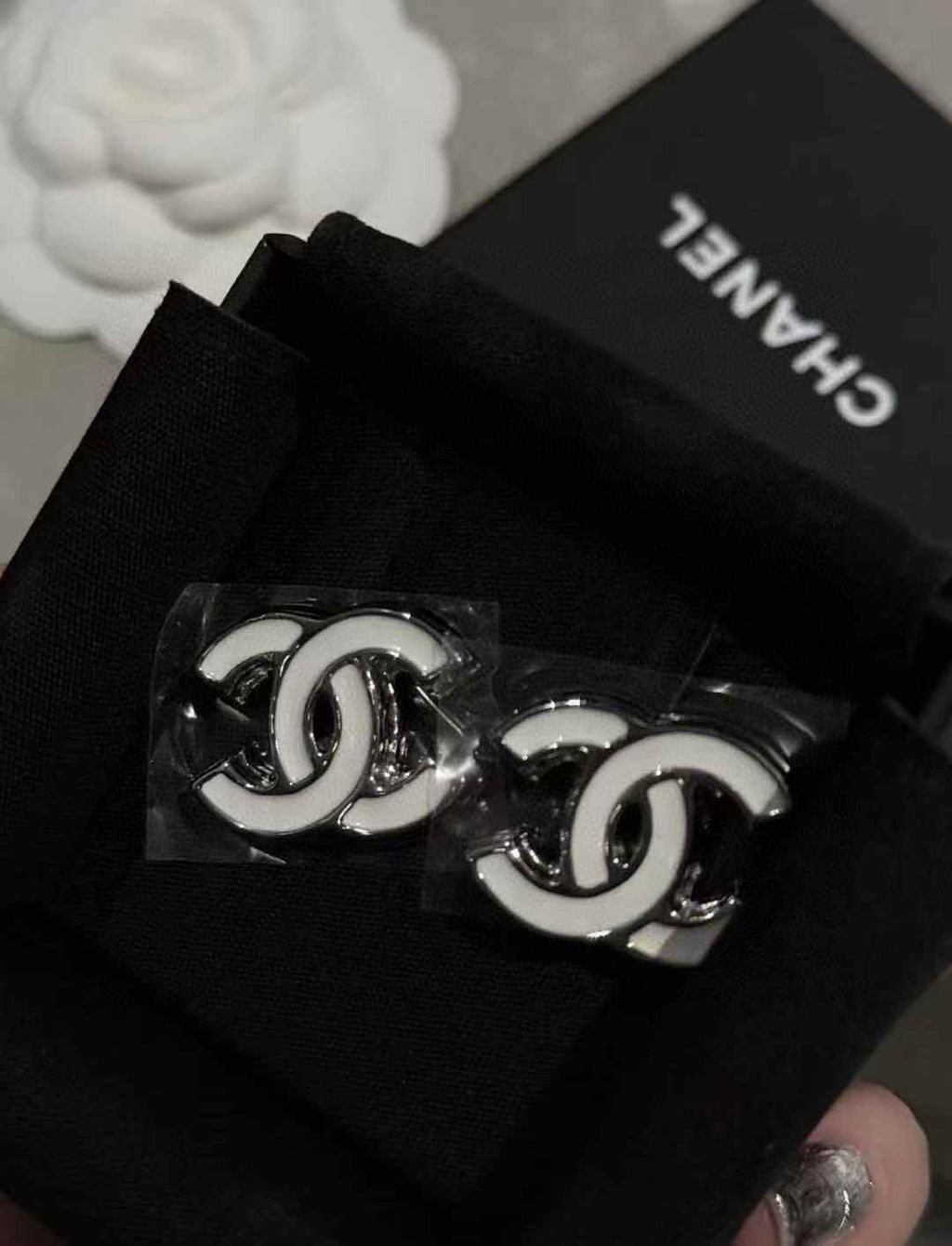 圖片_20250622121935