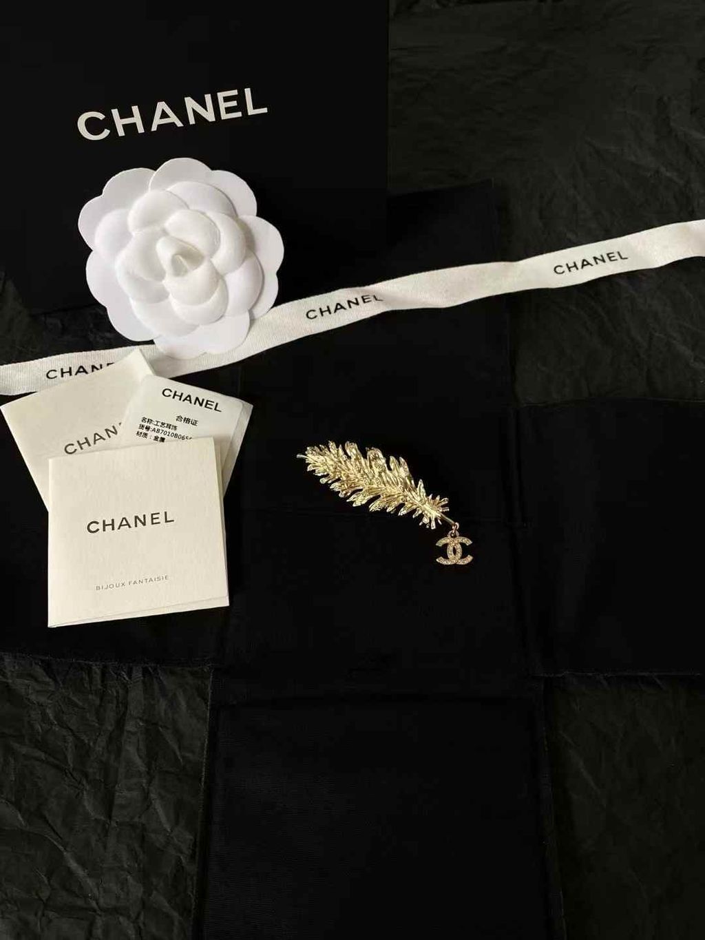 圖片_20250622122312