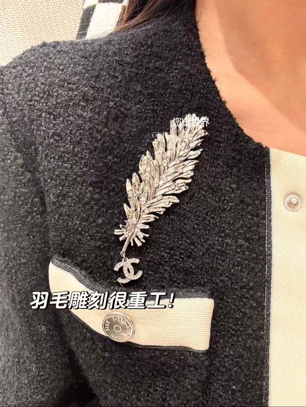 圖片_20250622122313