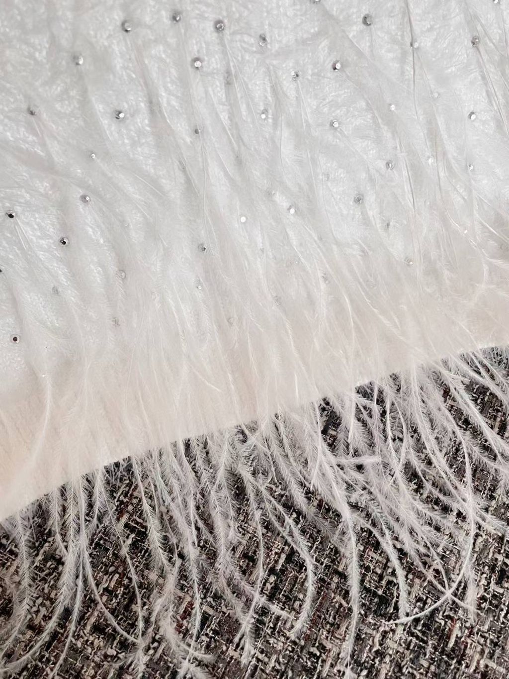 圖片_20250629153649