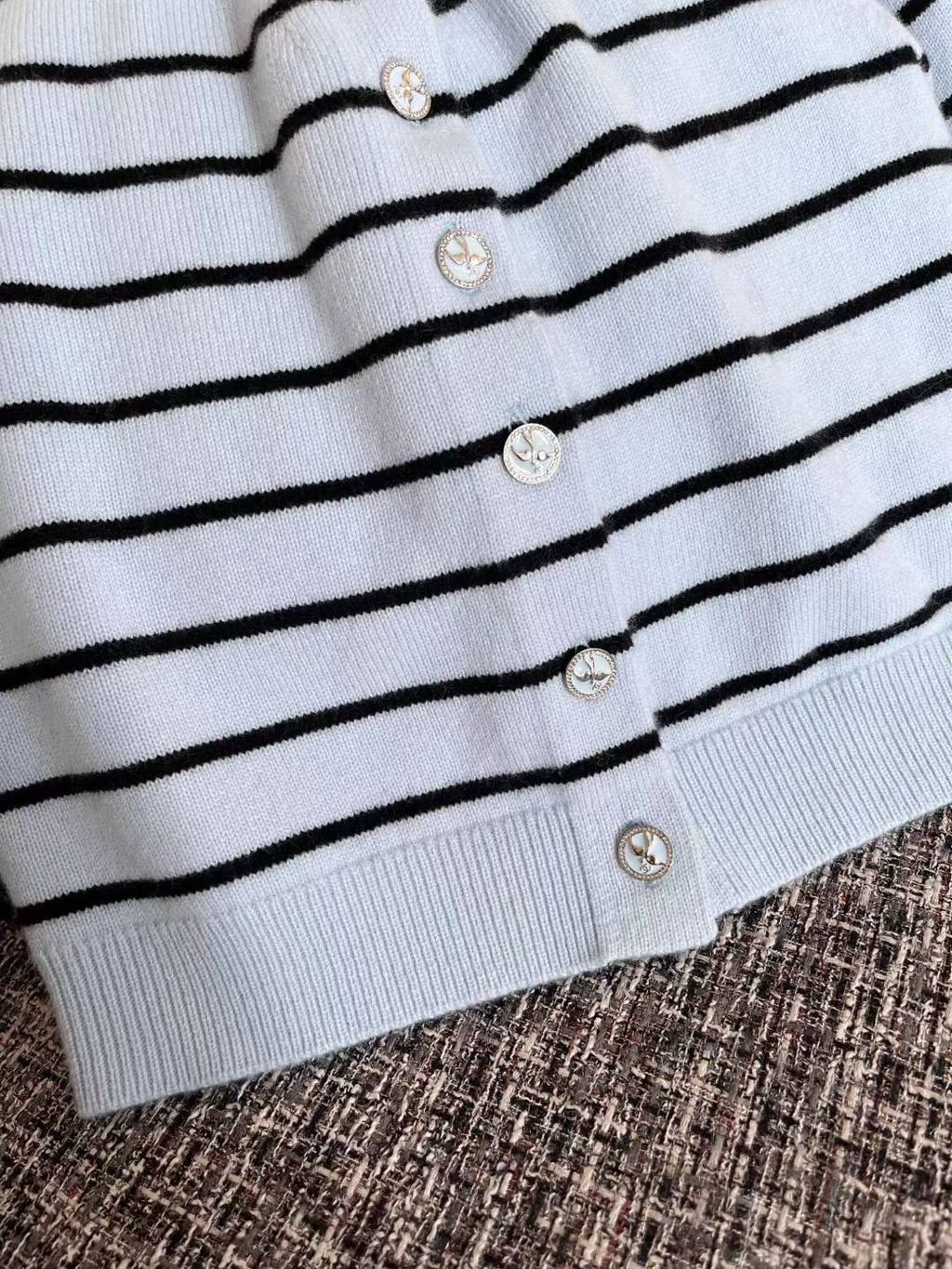 圖片_20250629152958