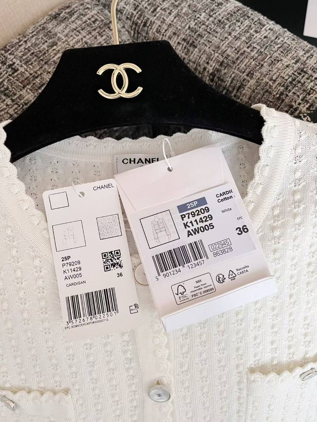 圖片_20250629160041