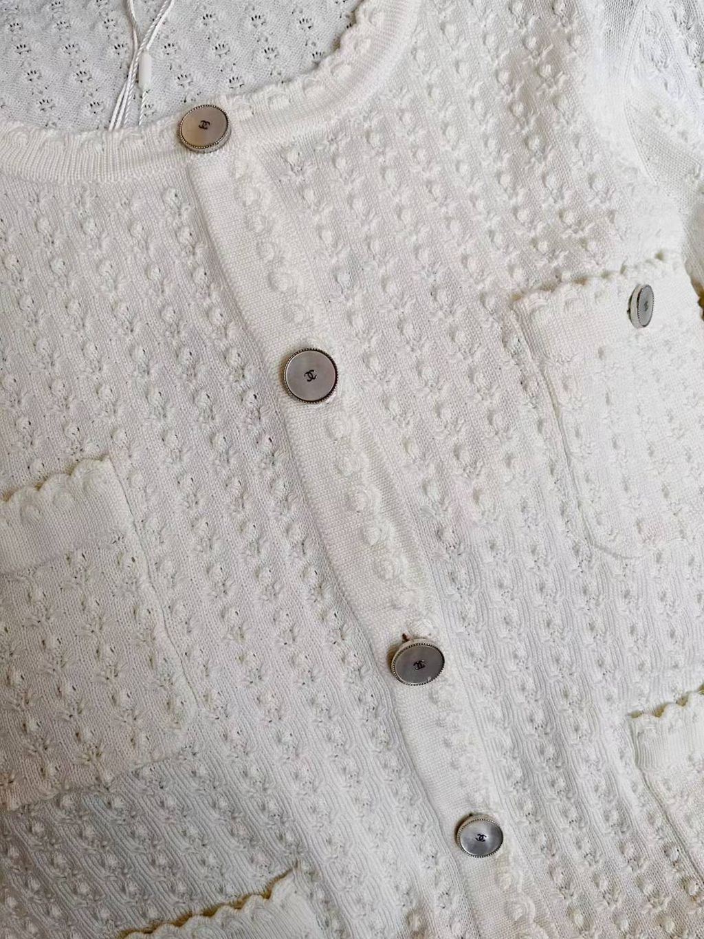 圖片_20250629160037