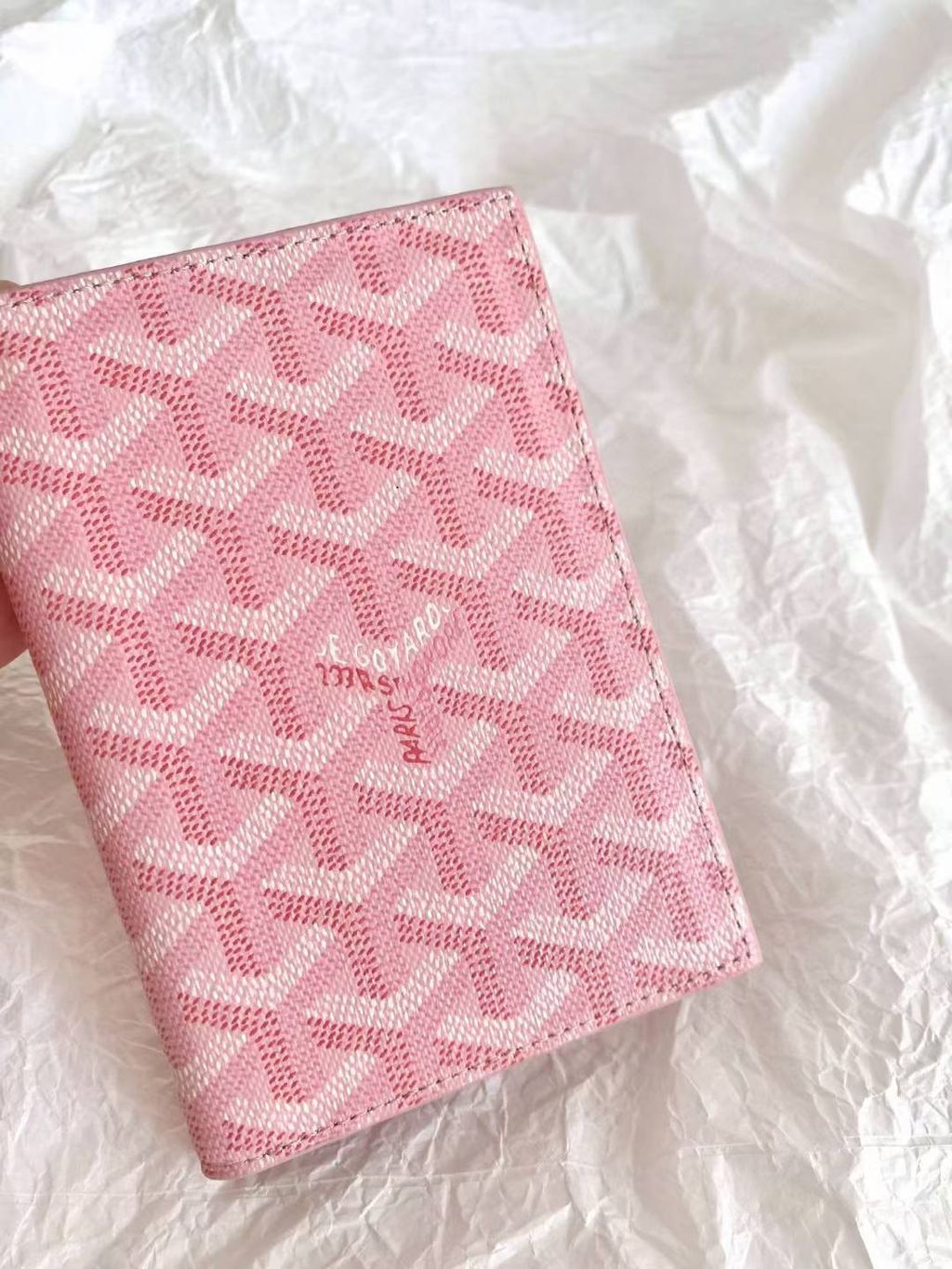 圖片_20250705170021