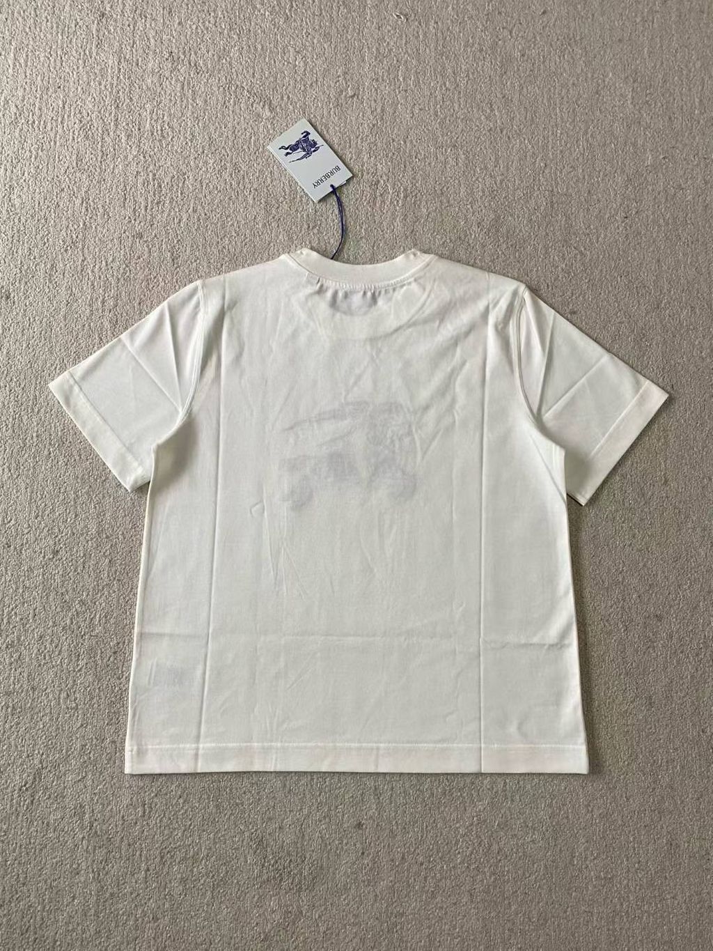 圖片_20250730160148