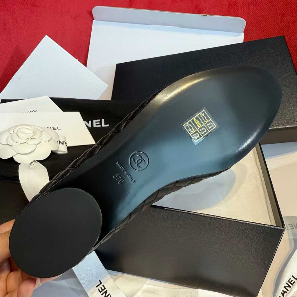 圖片_20250730182657