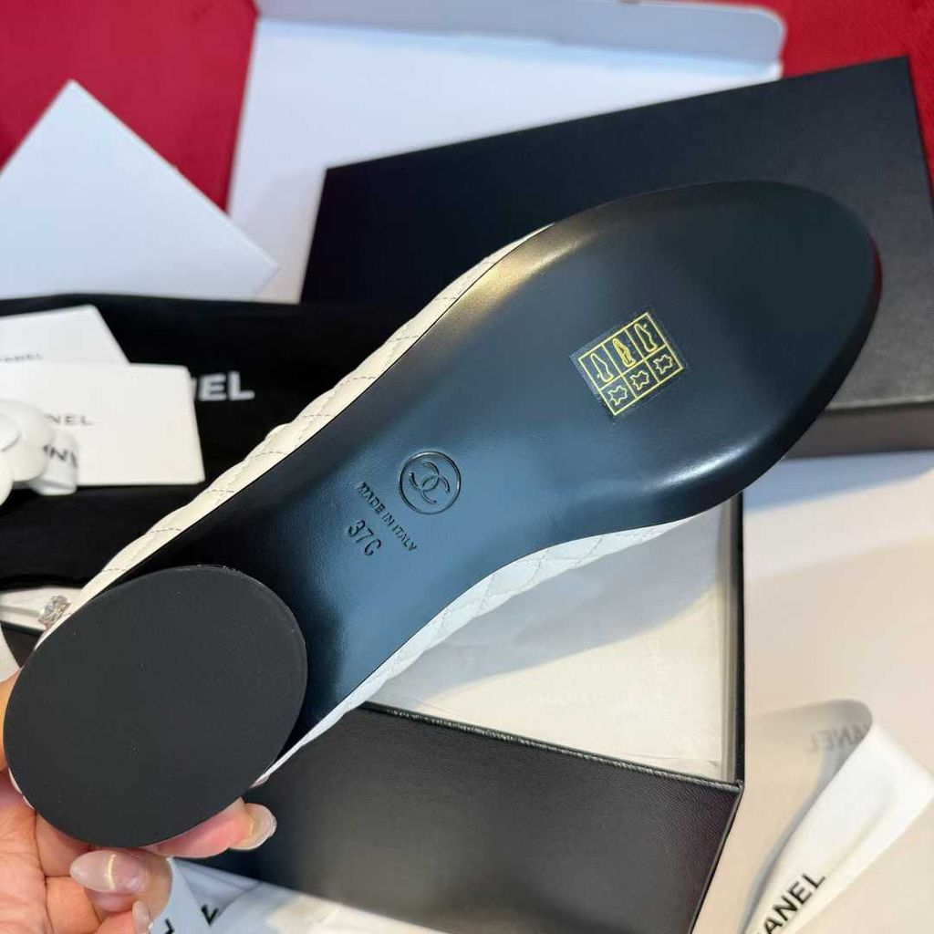 圖片_20250730182645