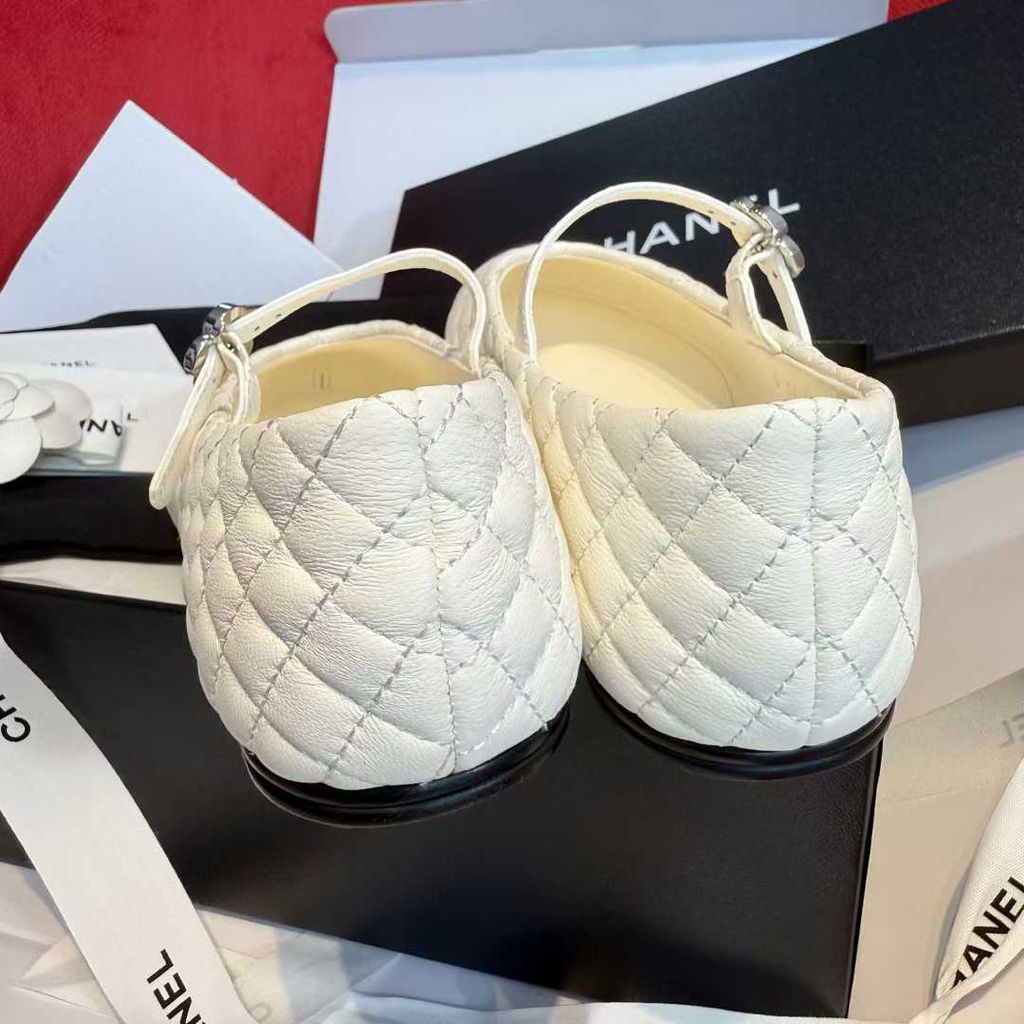 圖片_20250730182644