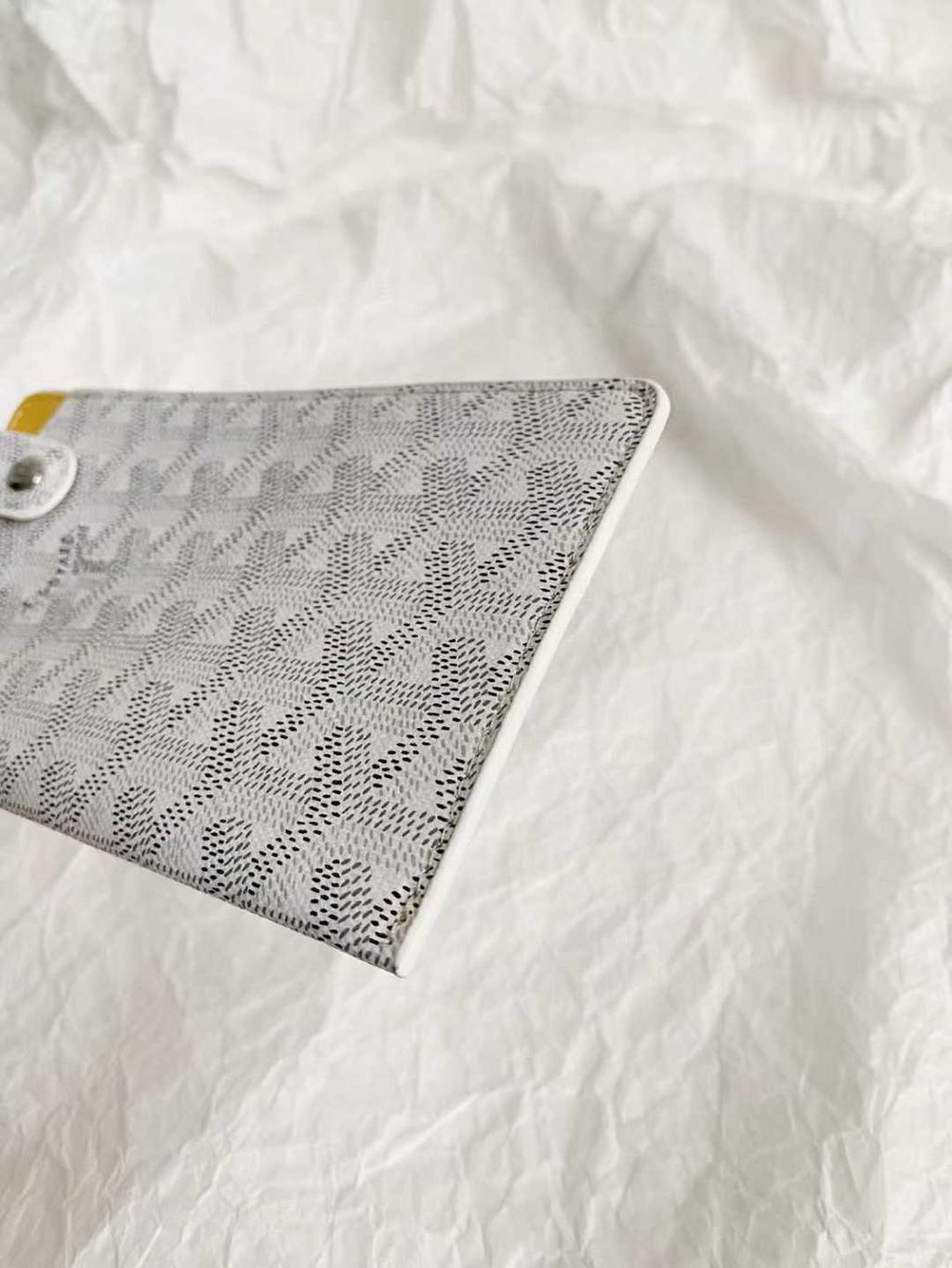 圖片_20250730182028