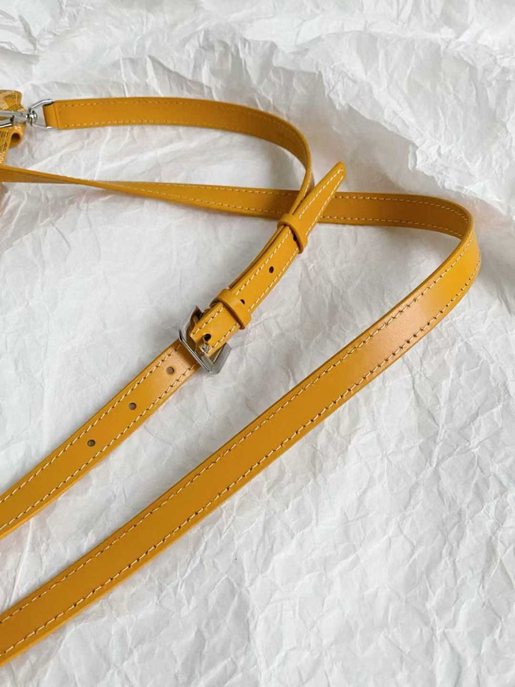 圖片_20250730181956