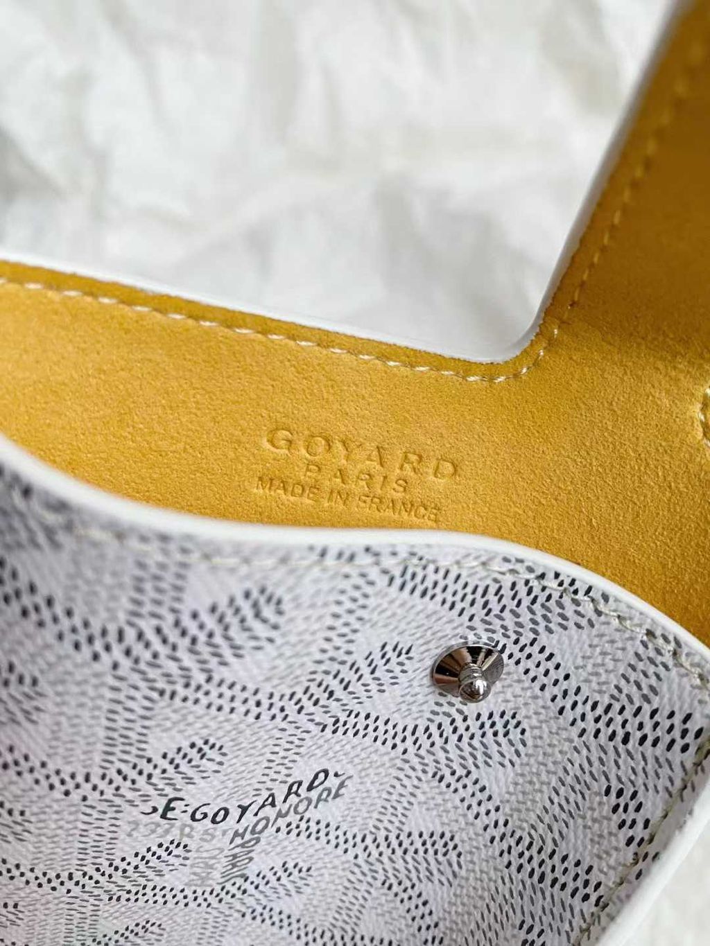 圖片_20250730182032