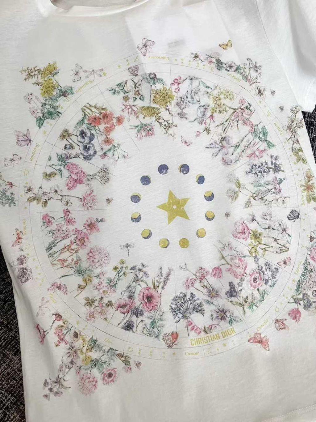 圖片_20250805153319