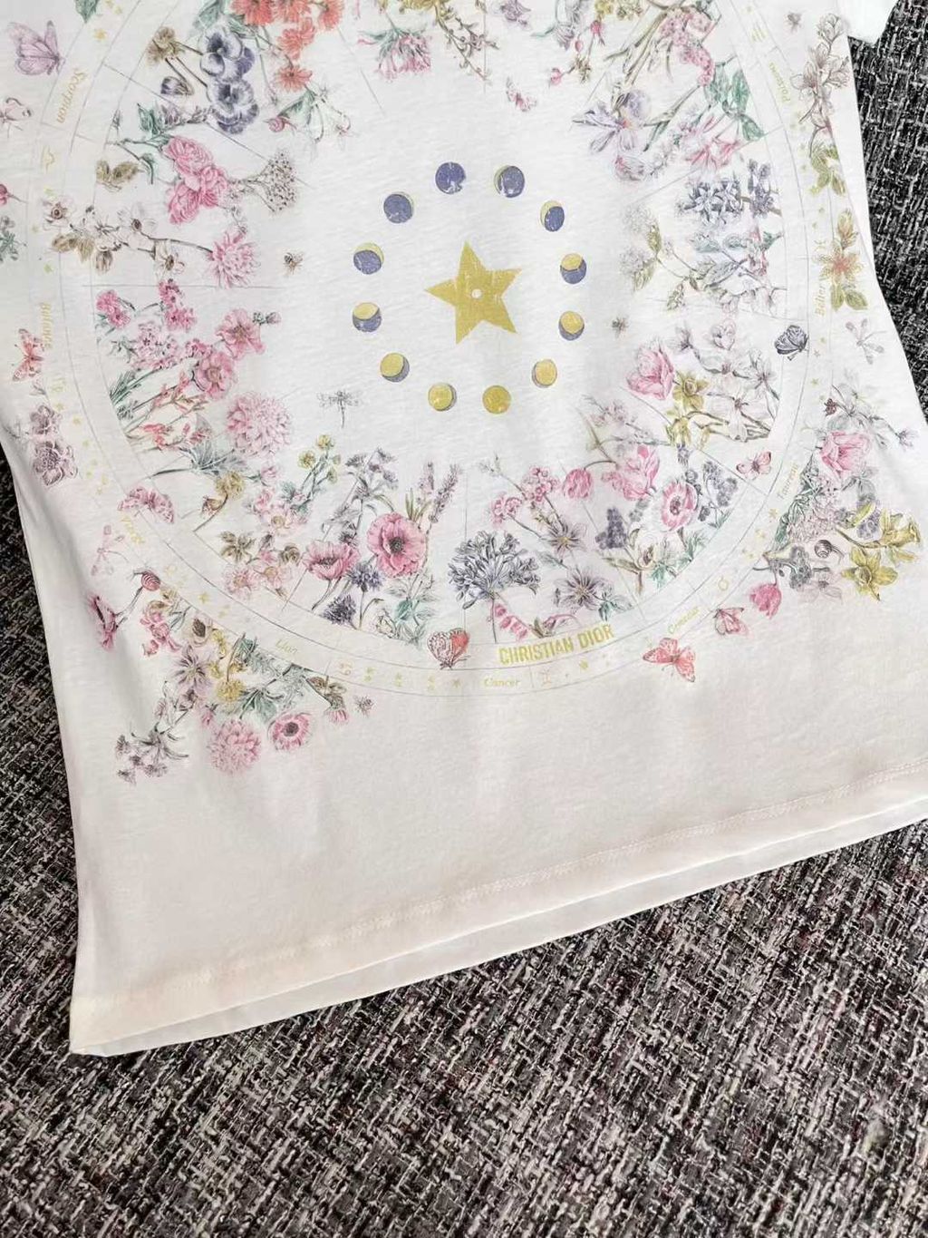 圖片_20250805153322