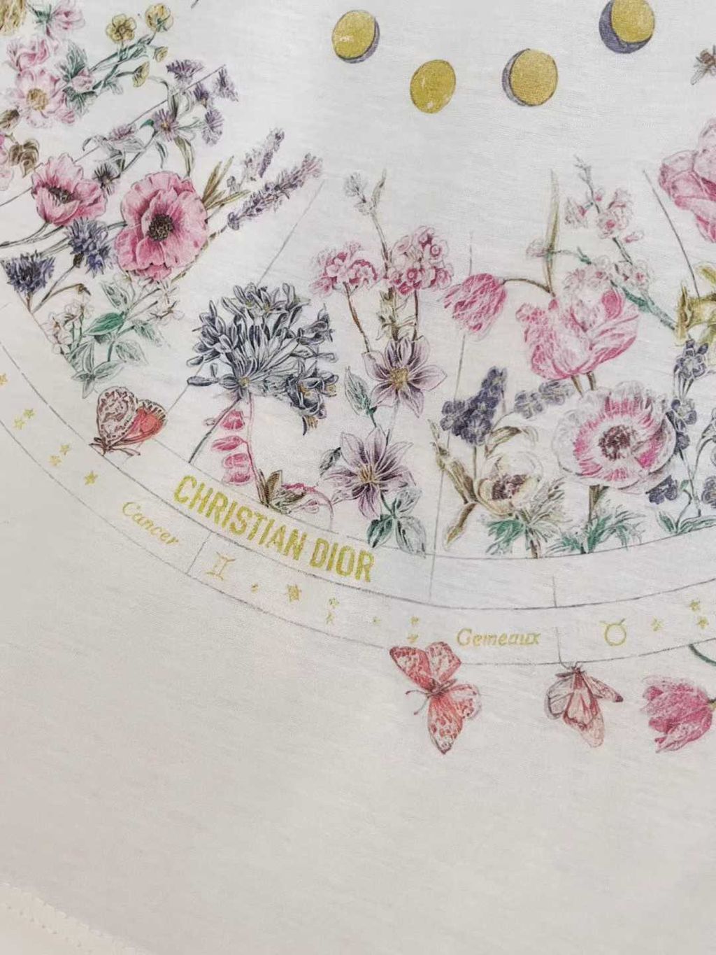 圖片_20250805153321