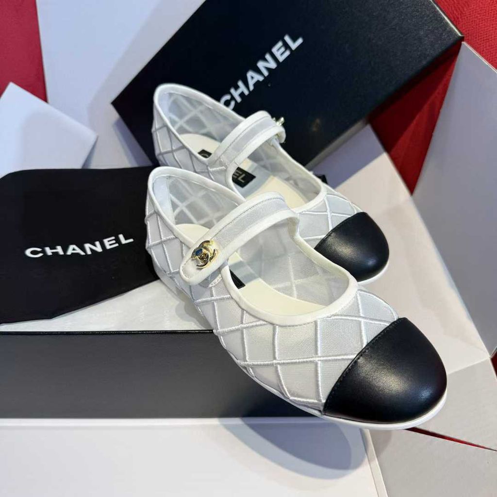 圖片_20250805162255