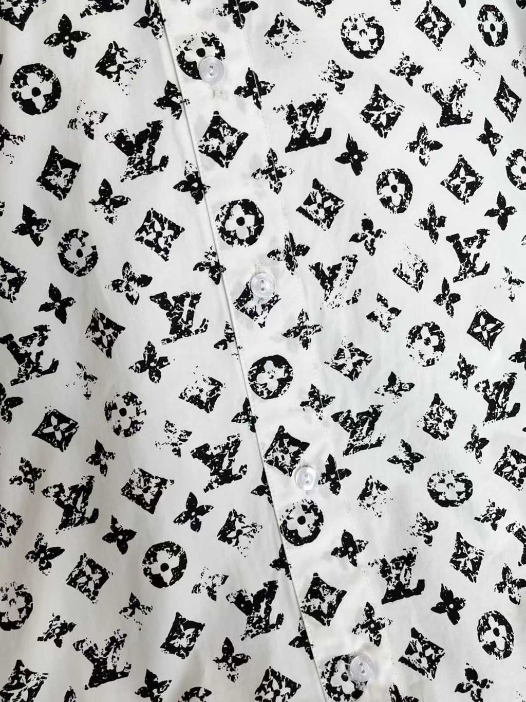 圖片_20250814174403