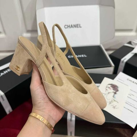 圖片_20250823101127