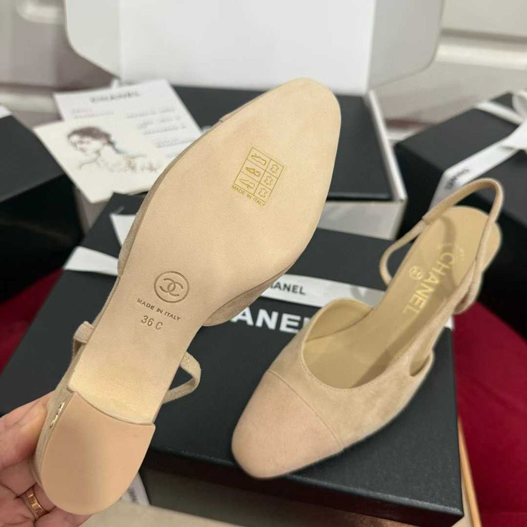 圖片_20250823101130