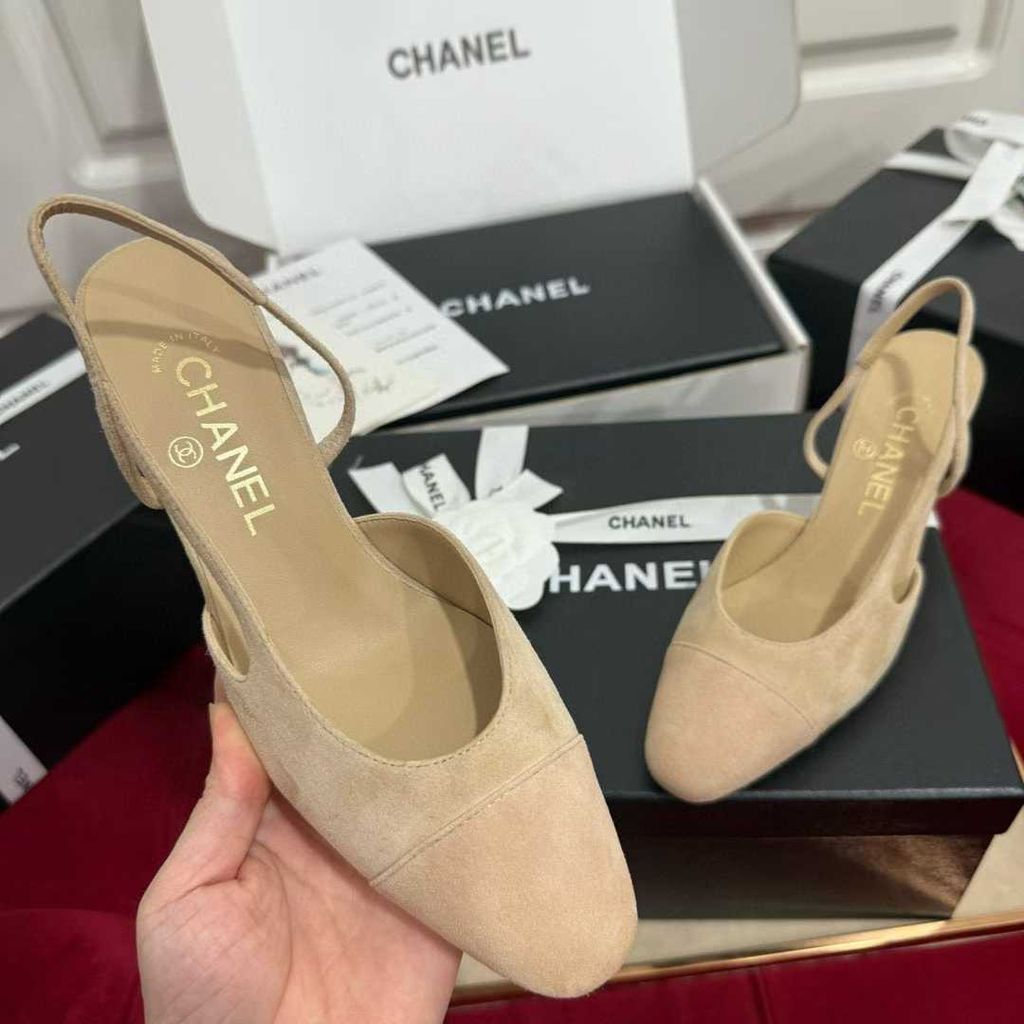 圖片_20250823101112