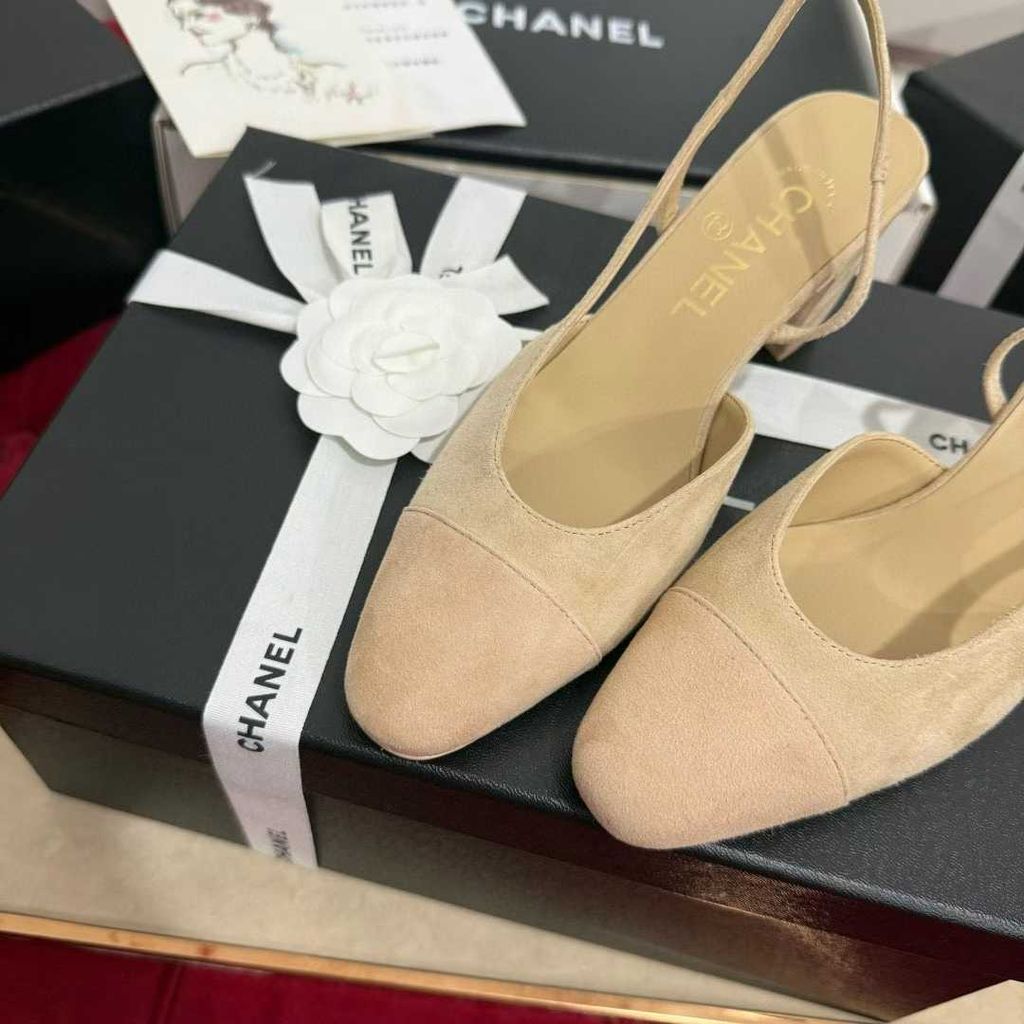 圖片_20250823101124