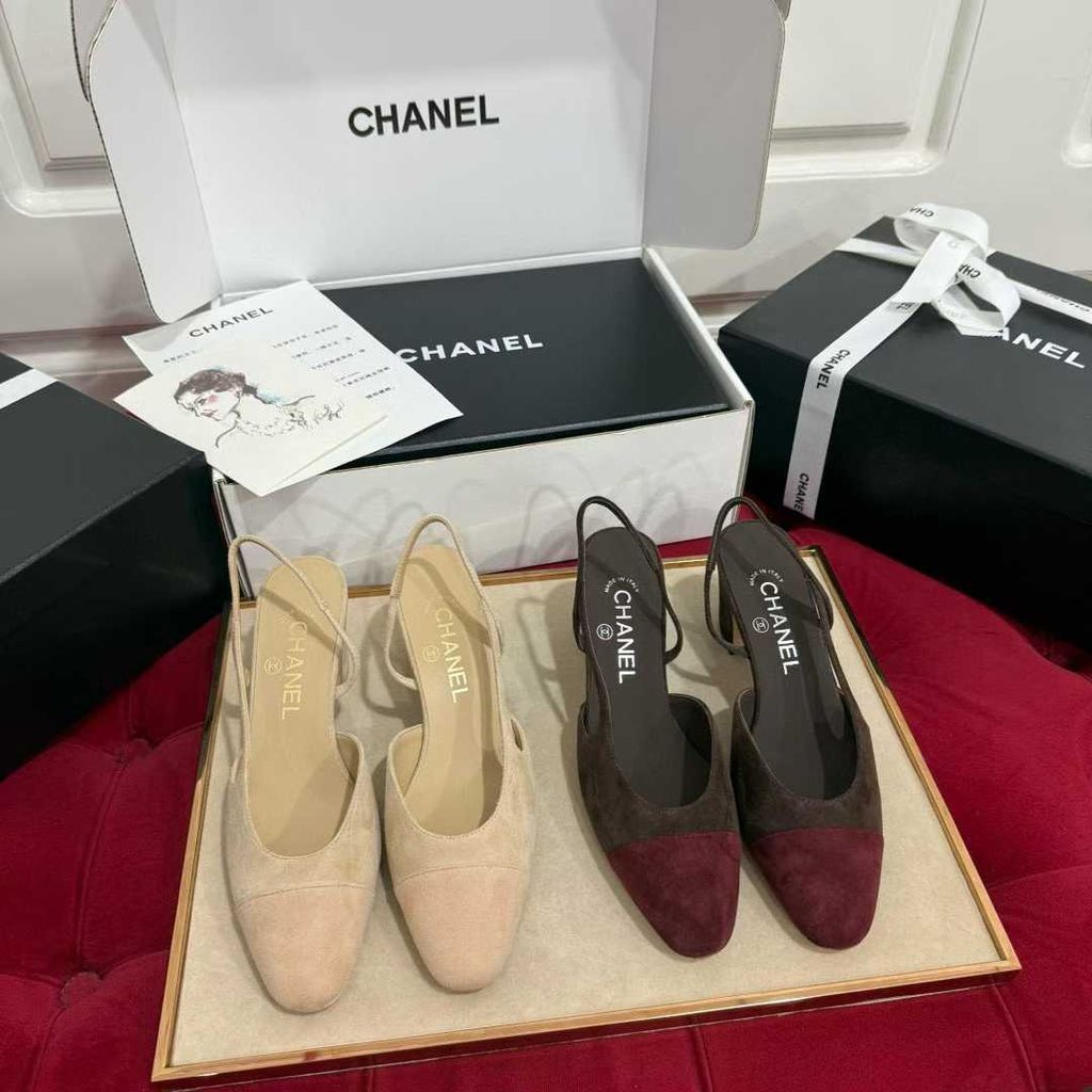 圖片_20250823101128