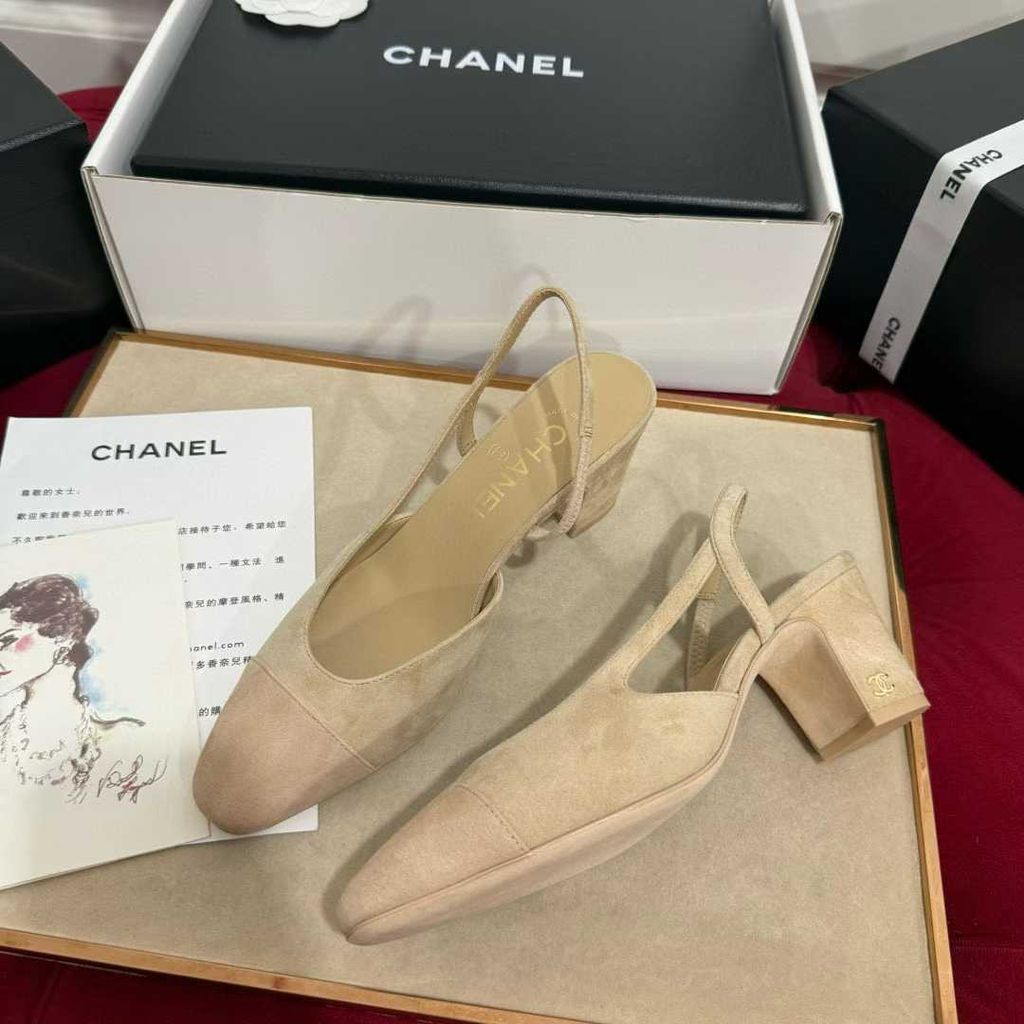 圖片_20250823101125